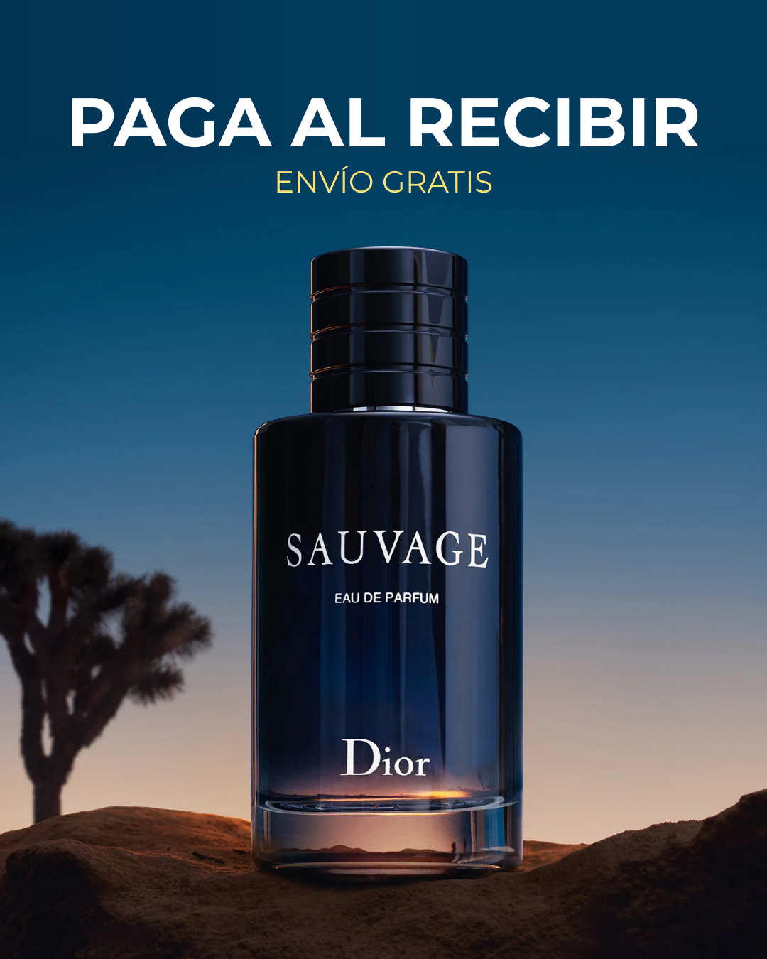 DIOR SAUVAGE - EDP 100 ML - Bee Drop