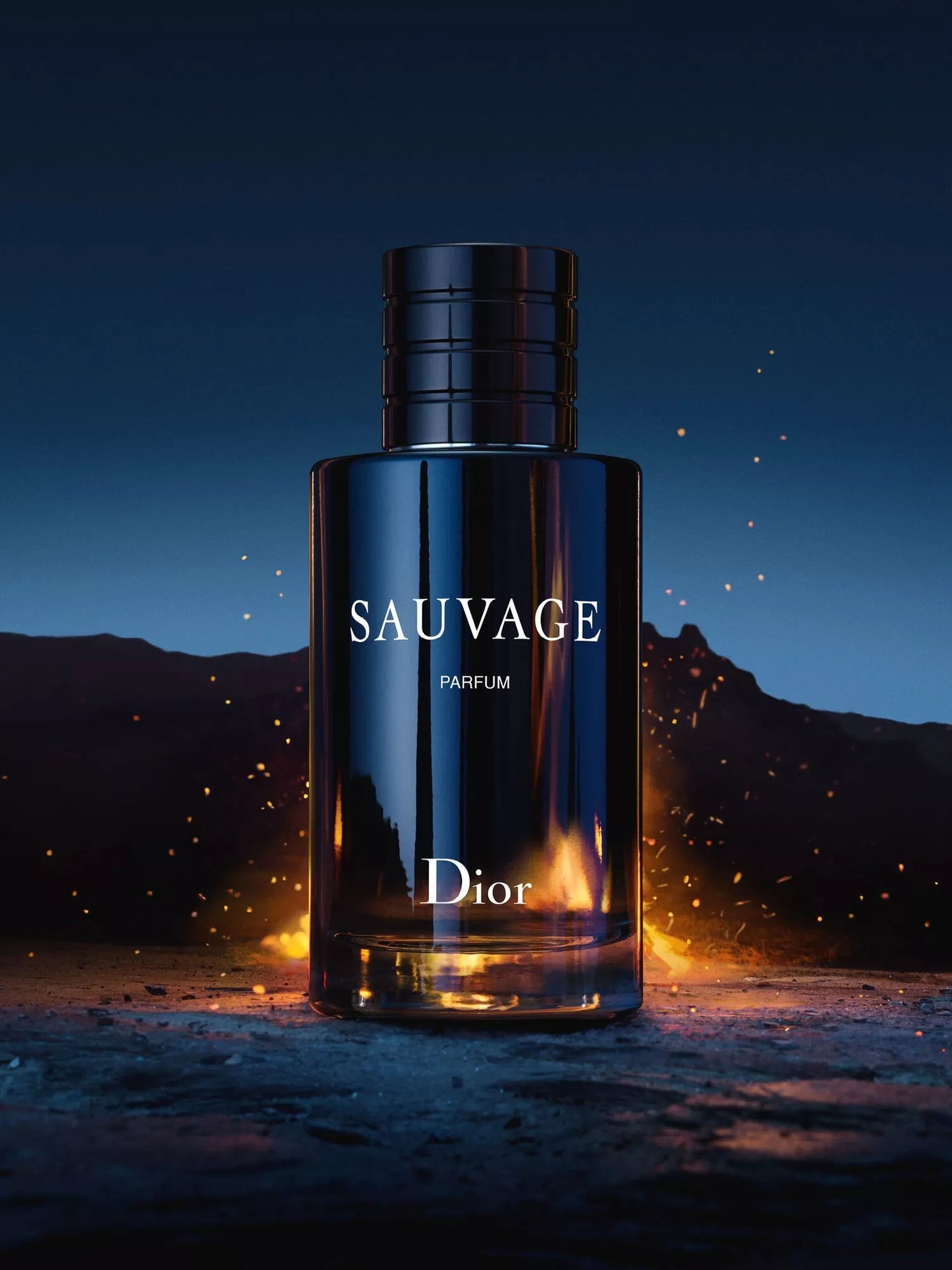 DIOR SAUVAGE - EDP 100 ML
