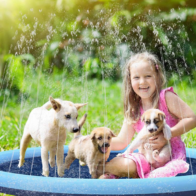 Piscina Mascotas | Pet Park🐶