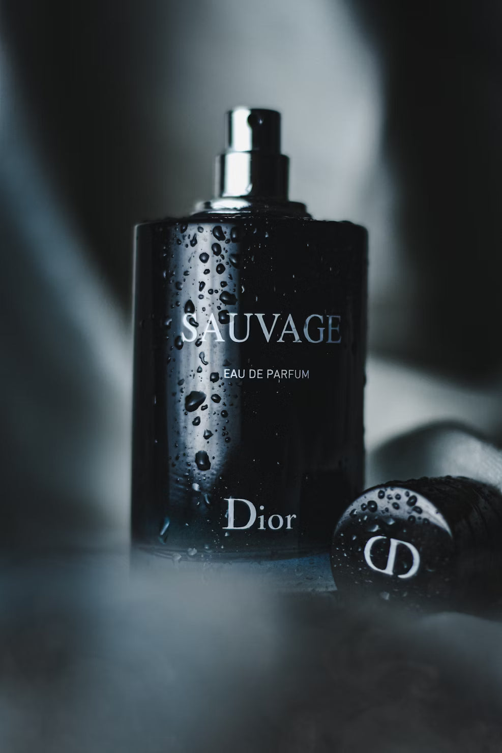 DIOR SAUVAGE - EDP 100 ML