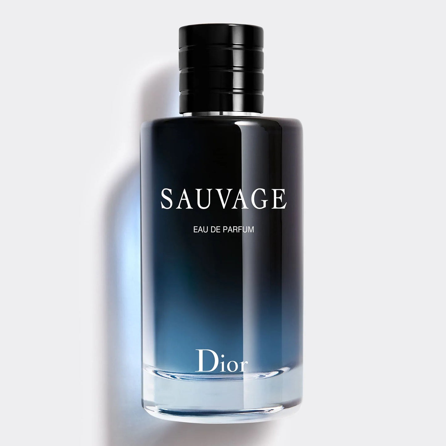 DIOR SAUVAGE - EDP 100 ML - Bee Drop