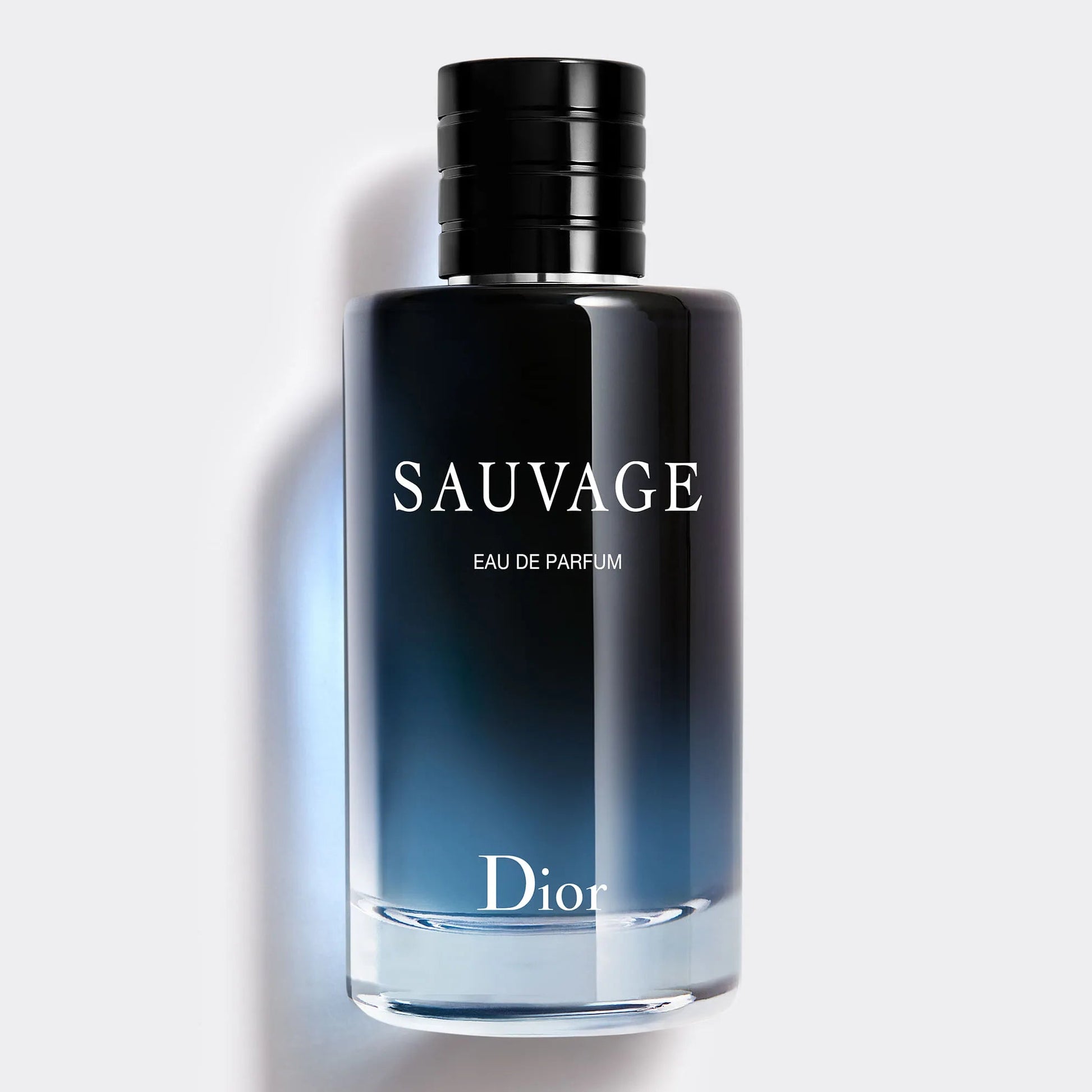 DIOR SAUVAGE - EDP 100 ML - Bee Drop